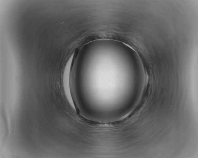 X0000112980233200908271149
