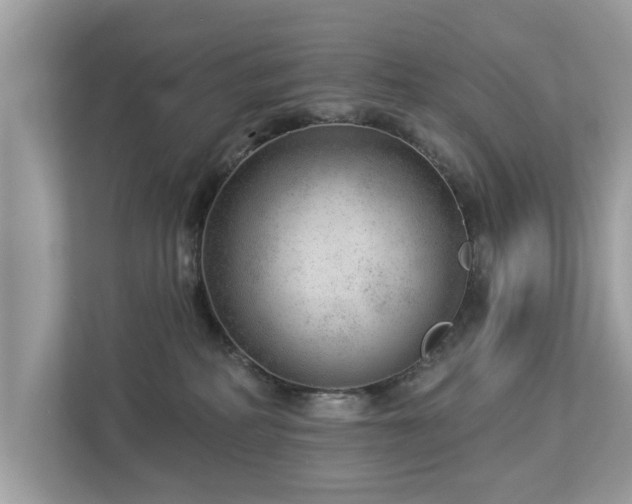 X0000112980234200908271149