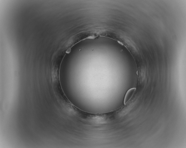 X0000112980236200908271149