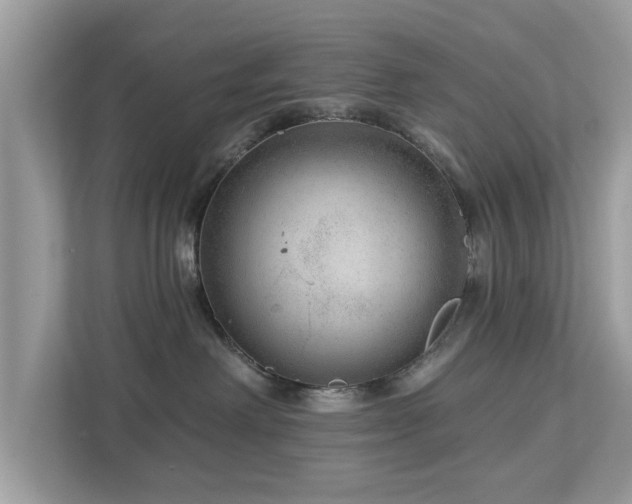 X0000112980238200908271149