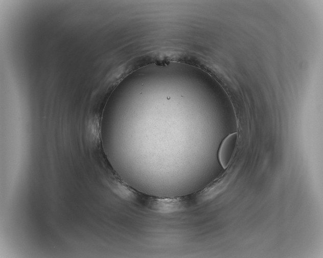 X0000112980240200908271149