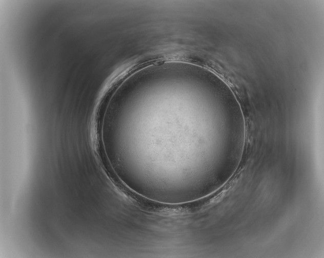 X0000112980245200908271149
