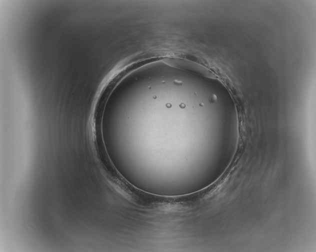 X0000112980246200908271149