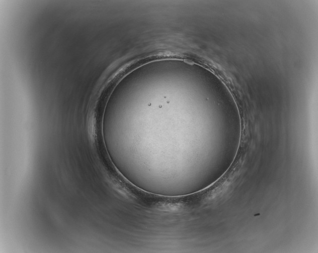 X0000112980247200908271149