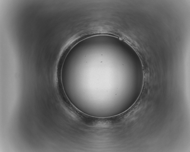 X0000112980248200908271149