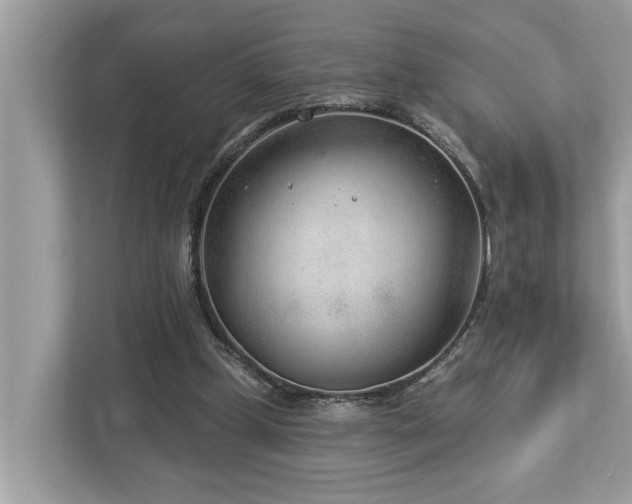 X0000112980249200908271149