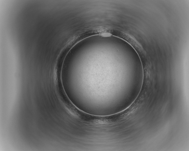 X0000112980250200908271149