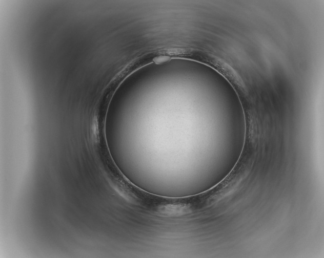 X0000112980251200908271149