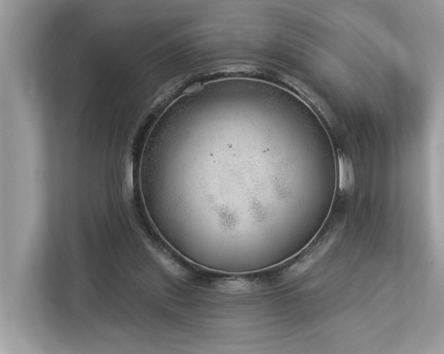 X0000112980253200908271149