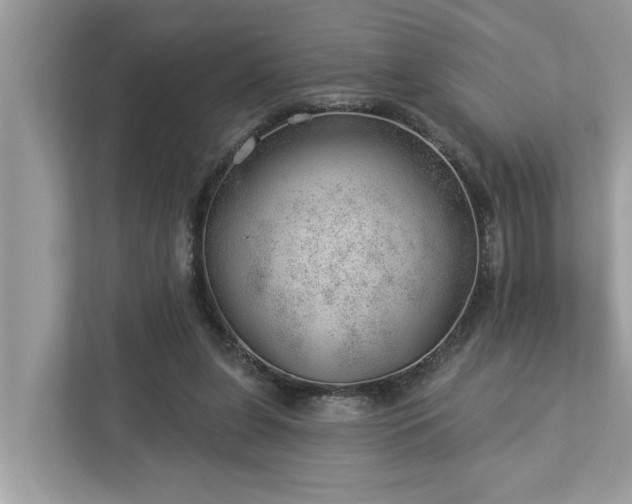 X0000112980255200908271149