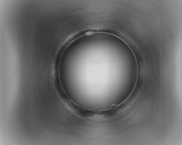 X0000112980256200908271149