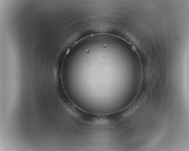 X0000112980258200908271149