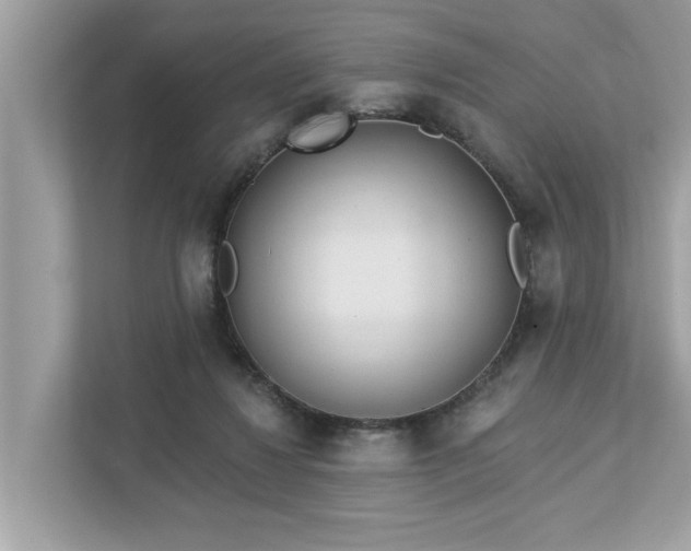 X0000112980260200908271149
