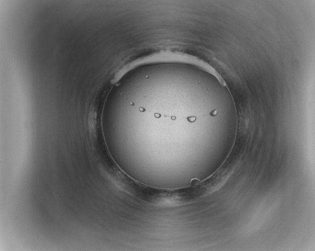 X0000112980263200908271149