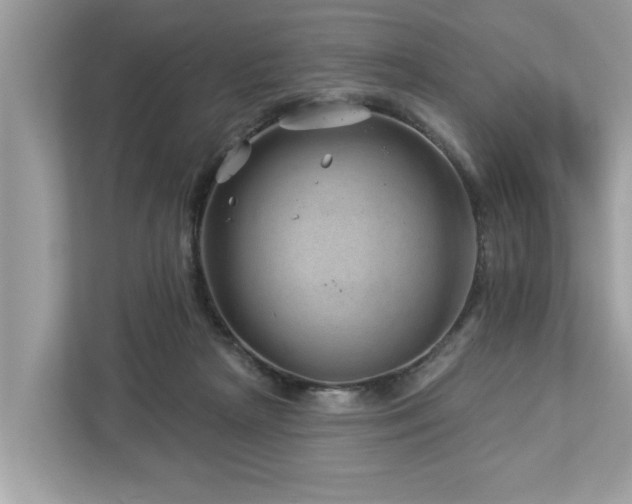 X0000112980265200908271149