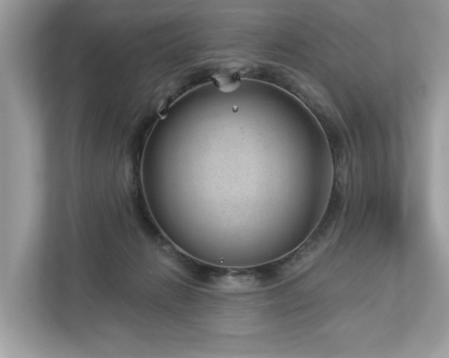 X0000112980270200908271149