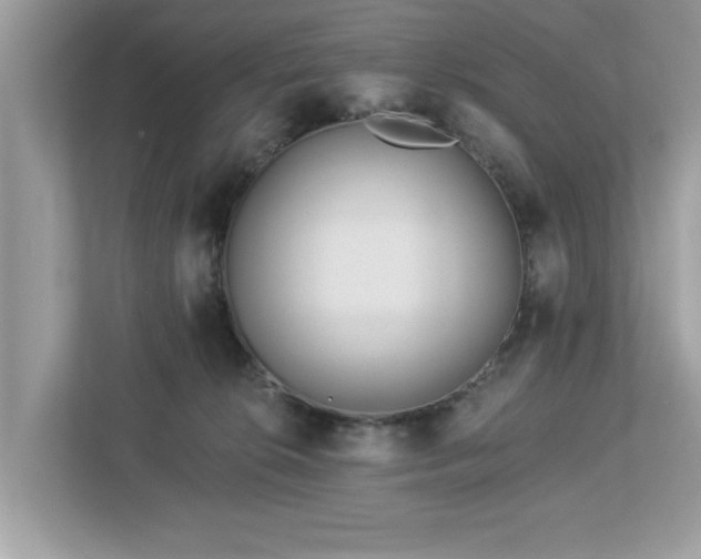 X0000112980276200908271149