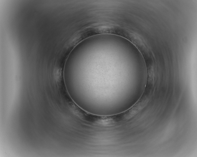 X0000112980278200908271149