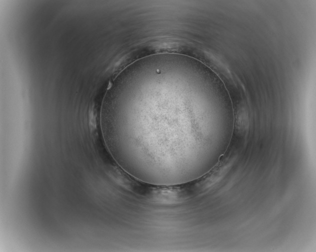 X0000112980282200908271149