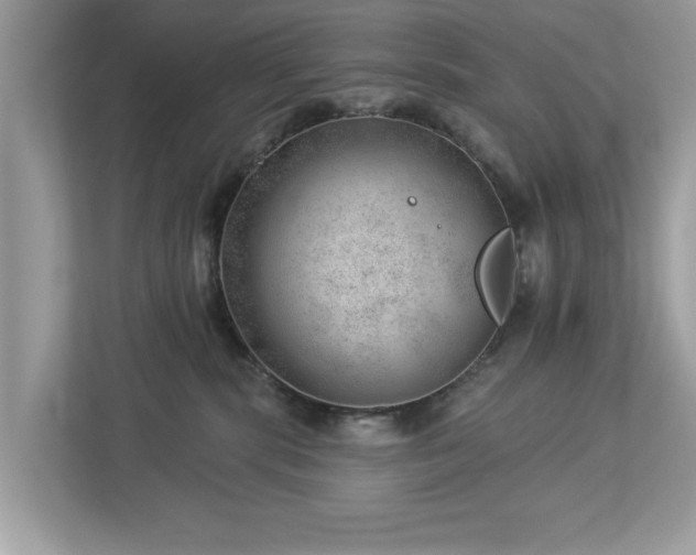 X0000112980283200908271149