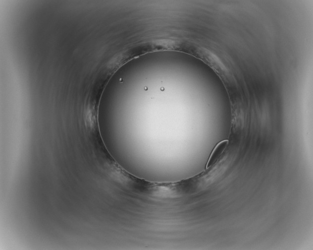 X0000112980285200908271149