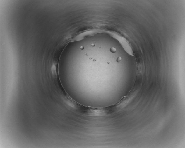 X0000112980286200908271149