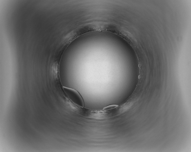 X0000112980288200908271149