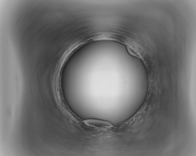 X0000112980289200908271149
