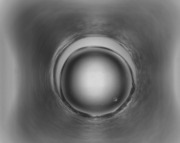 X0000112980293200908271149