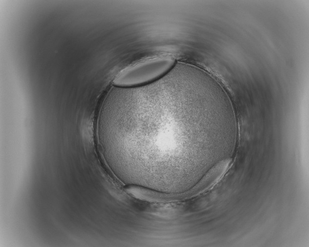 X0000112980297200908271148