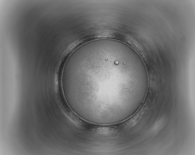 X0000112980298200908271148