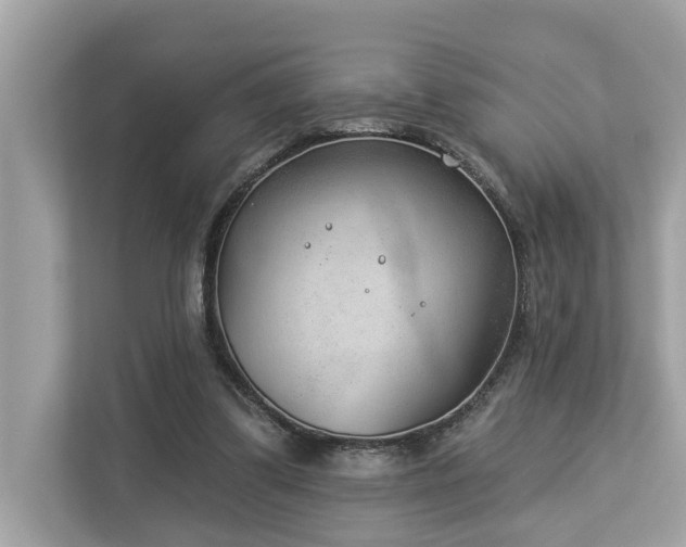 X0000112980299200908271148