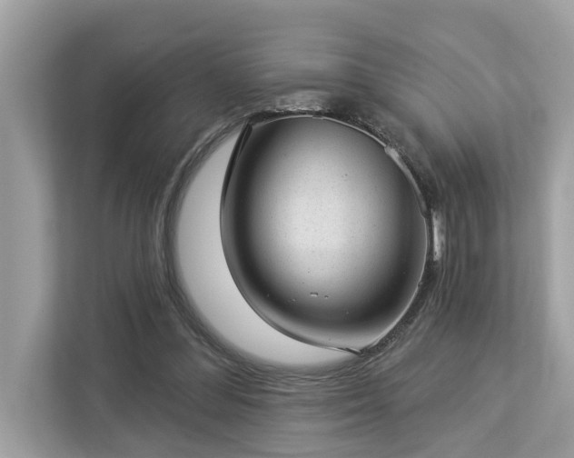 X0000112980300200908271148