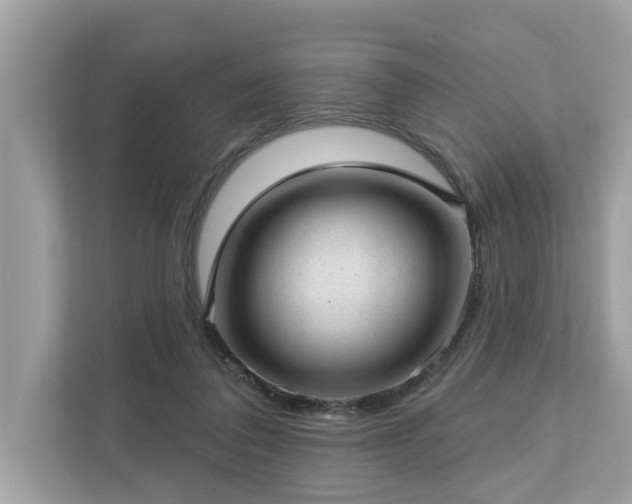 X0000112980308200908271148
