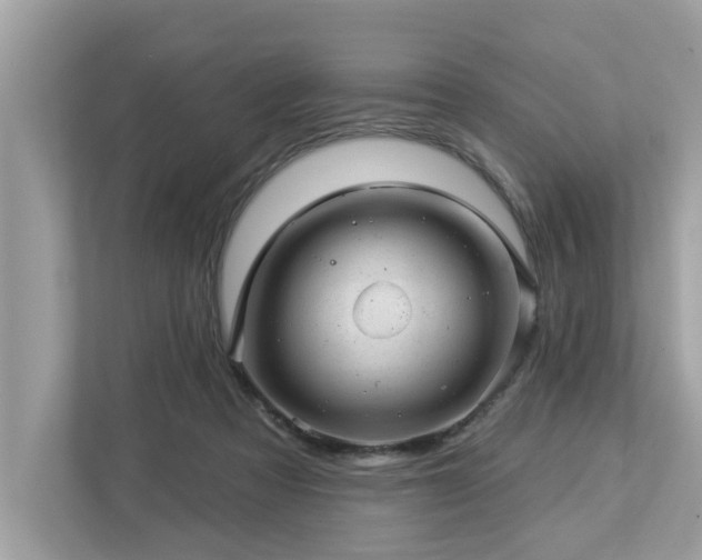 X0000112980313200908271148
