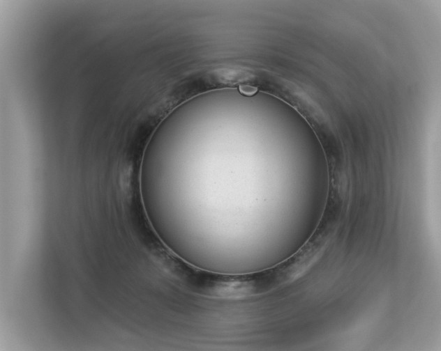 X0000112980319200908271148