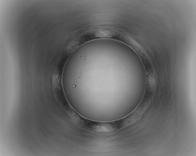 X0000112980322200908271148