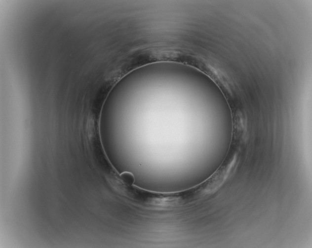 X0000112980323200908271148