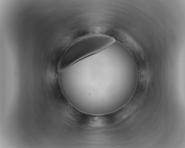 X0000112980324200908271148