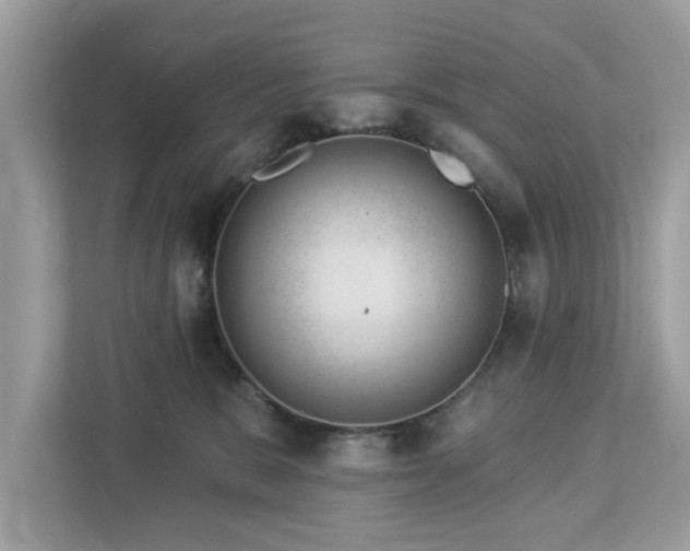 X0000112980327200908271148