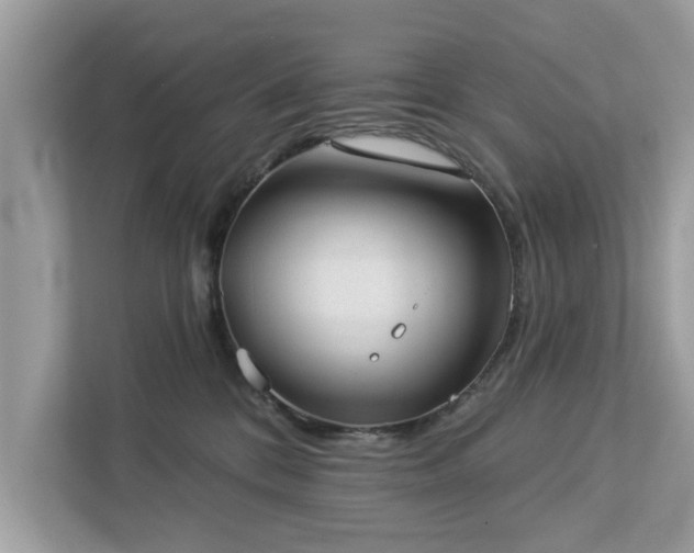 X0000112980328200908271148