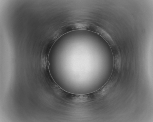 X0000112980329200908271148