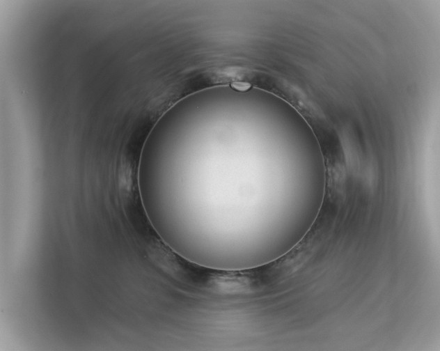 X0000112980331200908271148