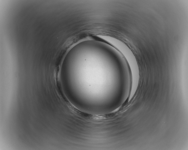 X0000112980333200908271148