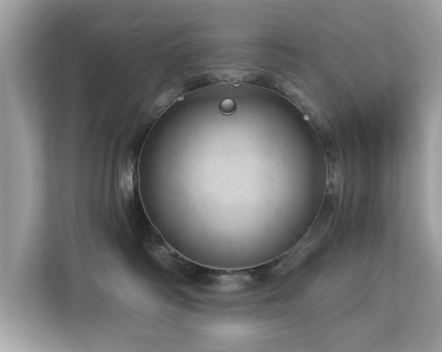 X0000112980334200908271148