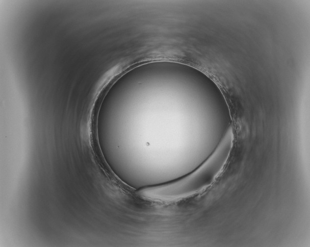 X0000112980340200908271147