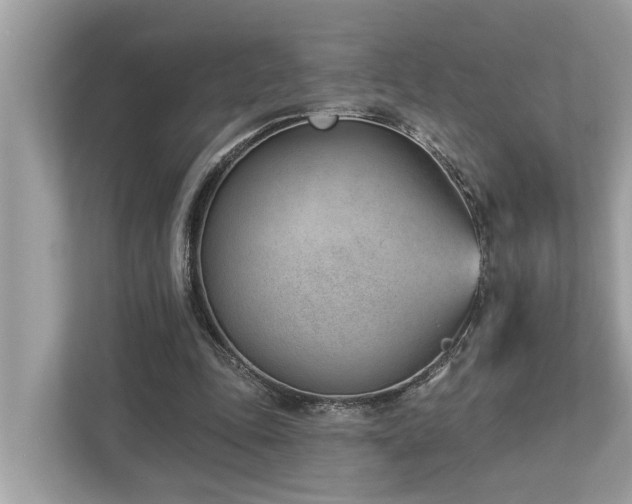 X0000112980343200908271147