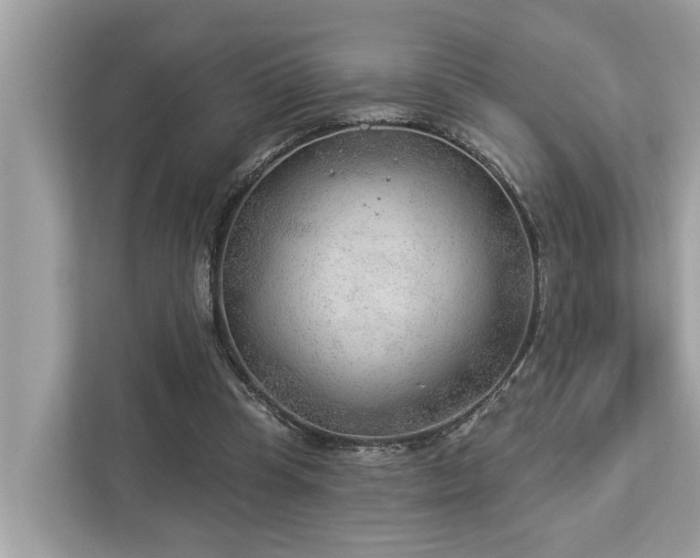 X0000112980345200908271147
