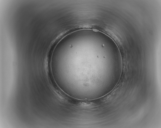 X0000112980346200908271147