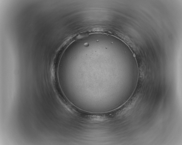 X0000112980347200908271147